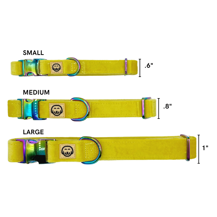 Sunshine Velvet Modern Dog Collar Molly & Co.