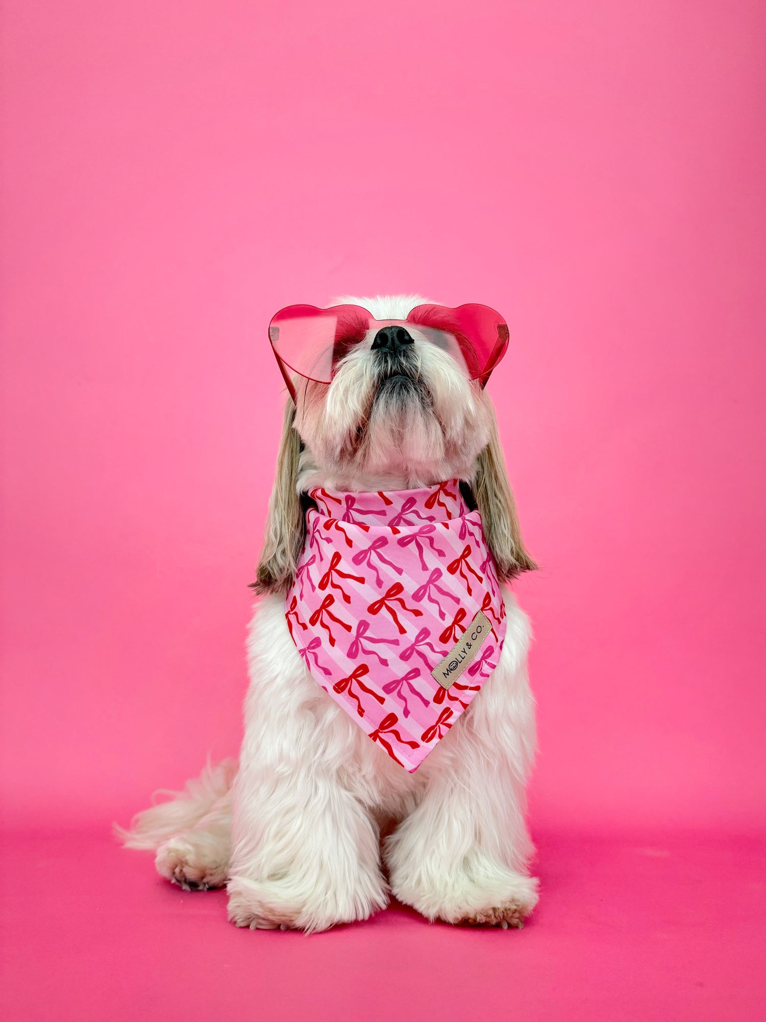 Coquette - Dog Bandana