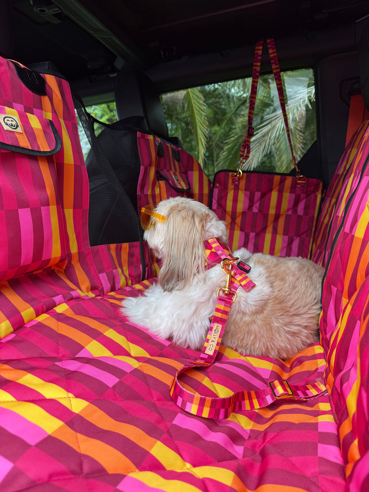 Odessa - Dog Seatbelt