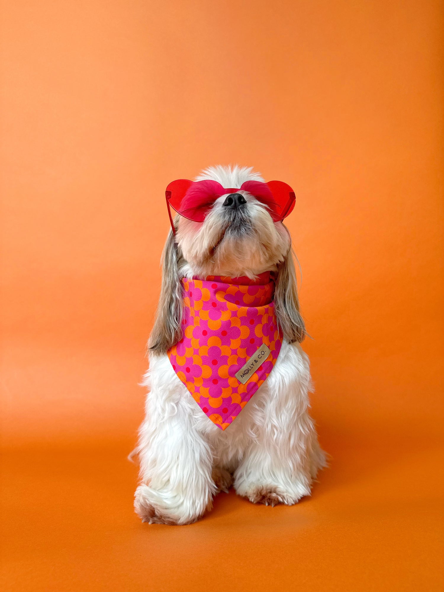 Dahlia - Dog Bandana