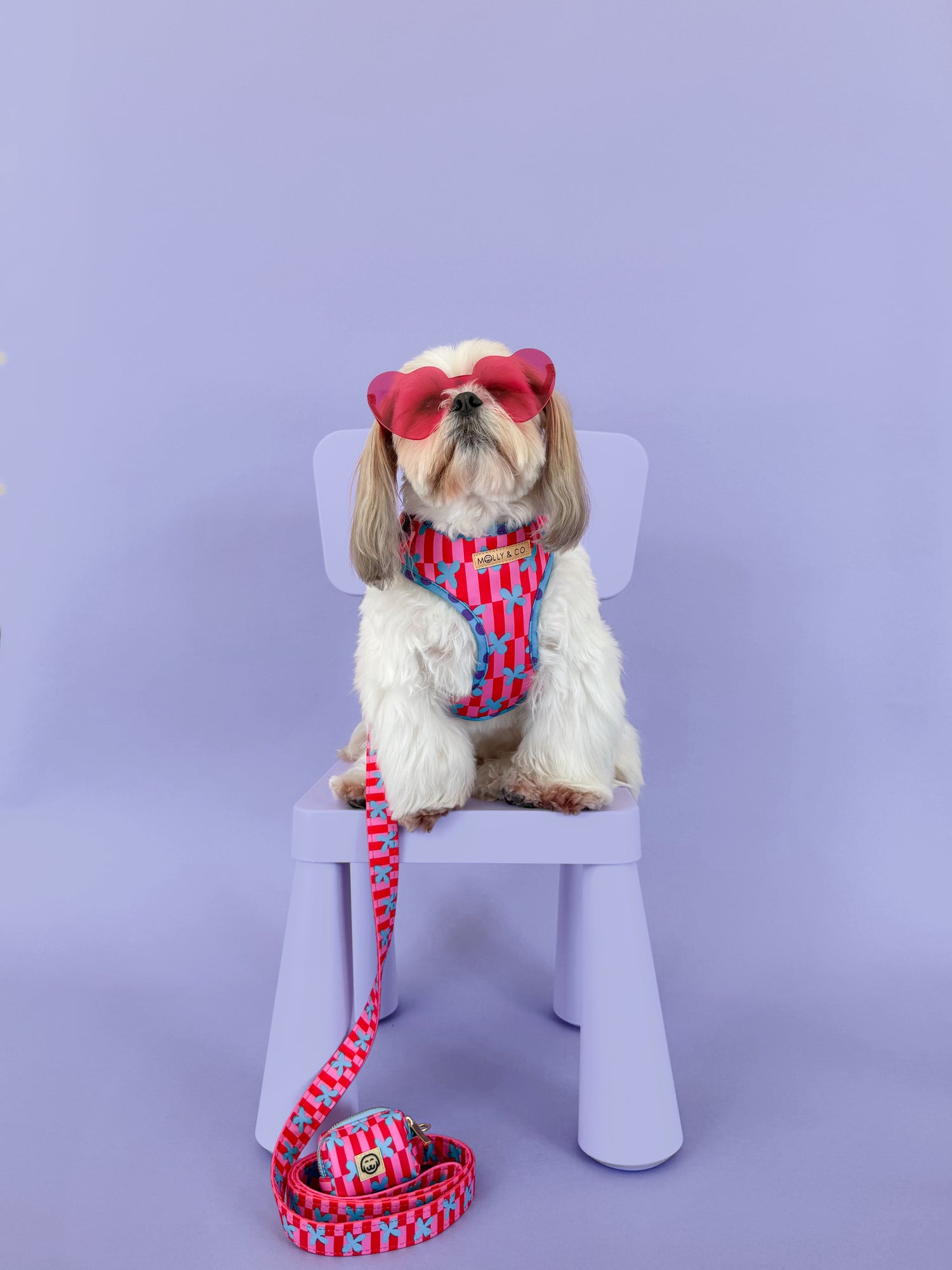 Supernova - Walking Bundle