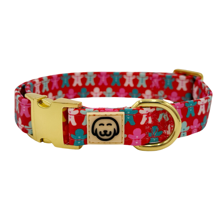 Gingerbread - Dog Collar