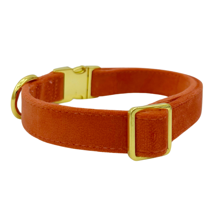Tangerine Velvet - Dog Collar