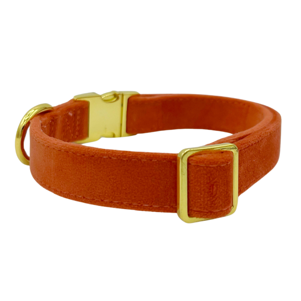 Tangerine Velvet - Dog Collar