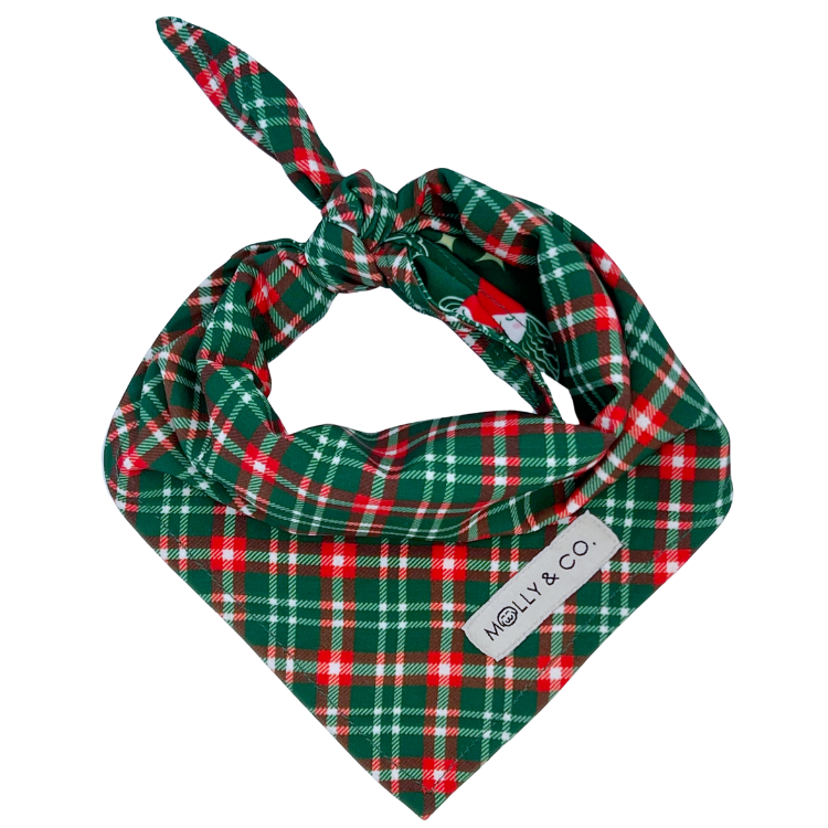 Santa + Royal Stewart Plaid - Reversible Dog Bandana