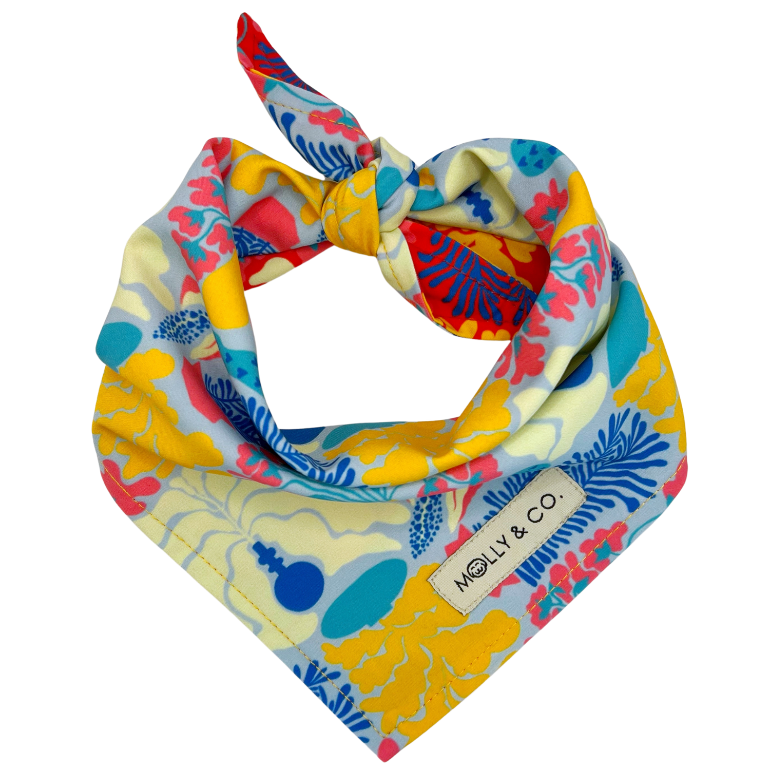 Pots - Reversible Dog Bandana