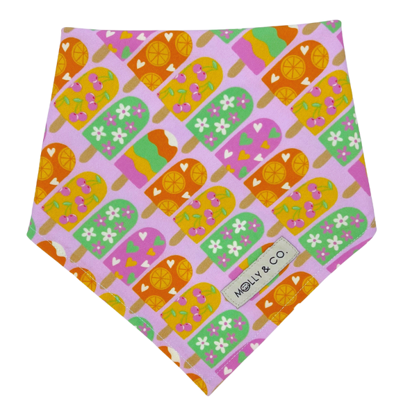 Ice Pop - Reversible Dog Bandana