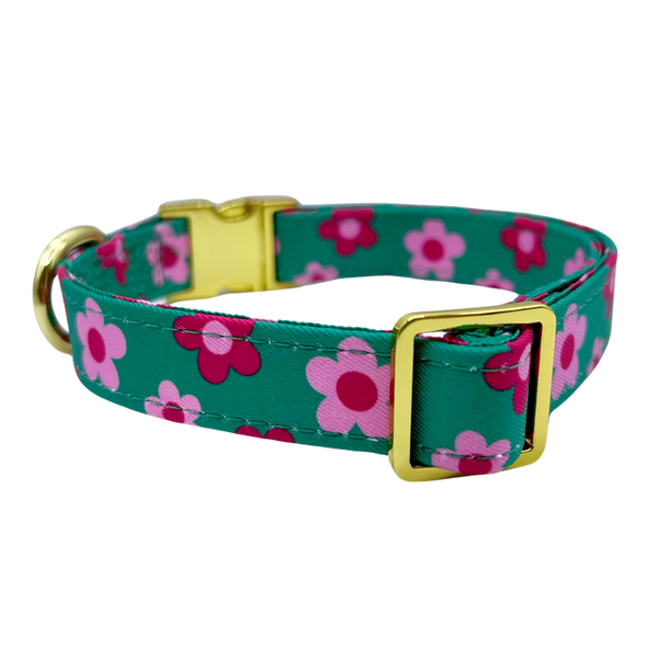 Petunia - Dog Collar