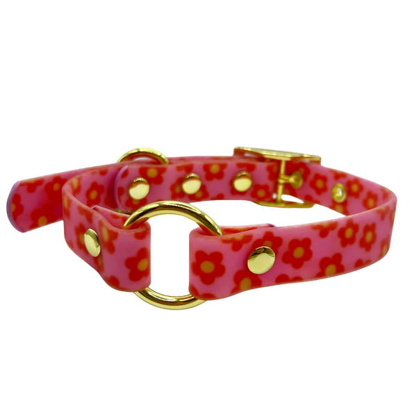 Wildflower - Splashproof Dog Collar