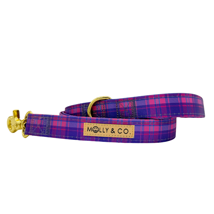 Pinkberry Plaid - Dog Leash