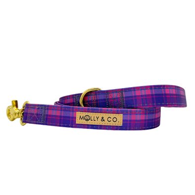 Pinkberry Plaid - Dog Leash