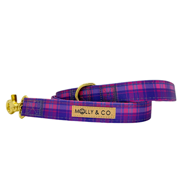 Pinkberry Plaid - Dog Leash