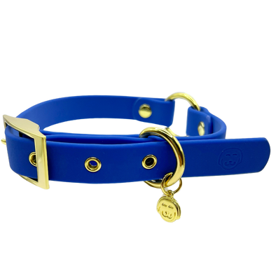 Zafiro - Splashproof Dog Collar