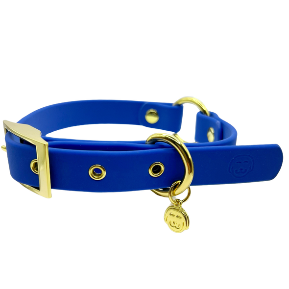 Zafiro - Splashproof Dog Collar