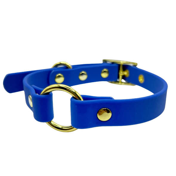 Zafiro - Splashproof Dog Collar