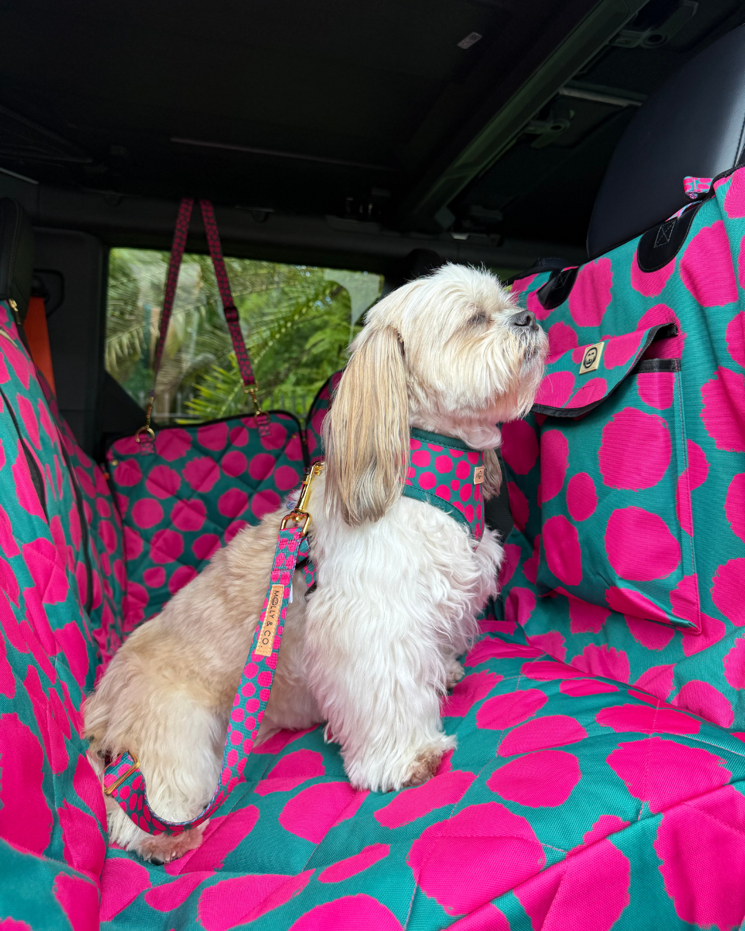 Polka Dogz - Dog Seatbelt