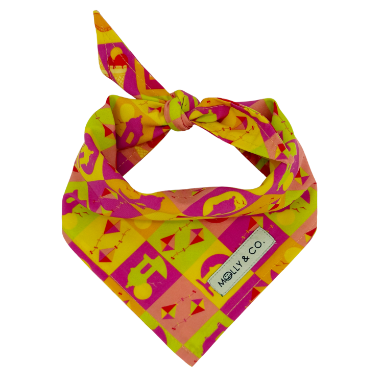 Pe Erre - Reversible Dog Bandana