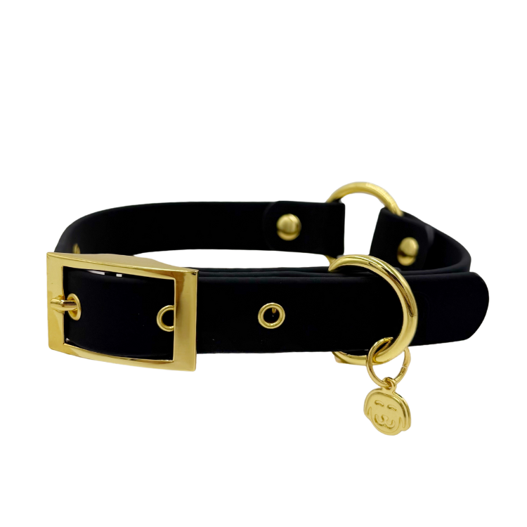 Midnight - Splashproof Dog Collar