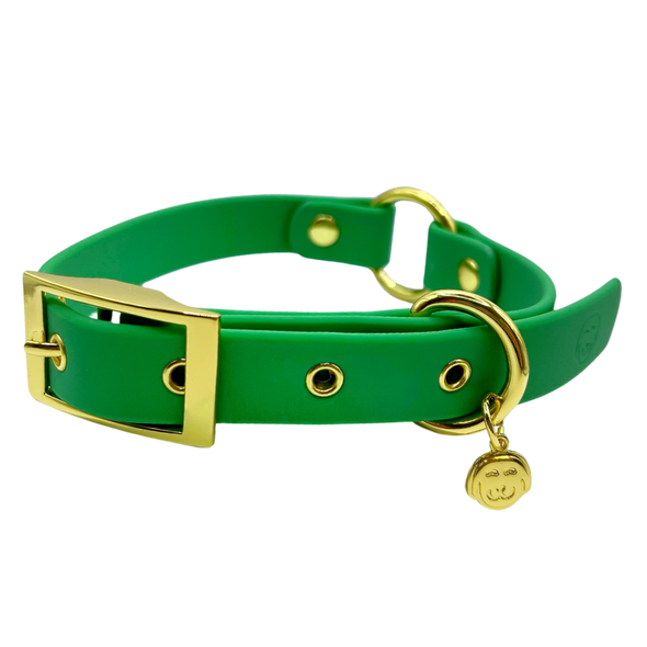 Ivy - Splashproof Dog Collar