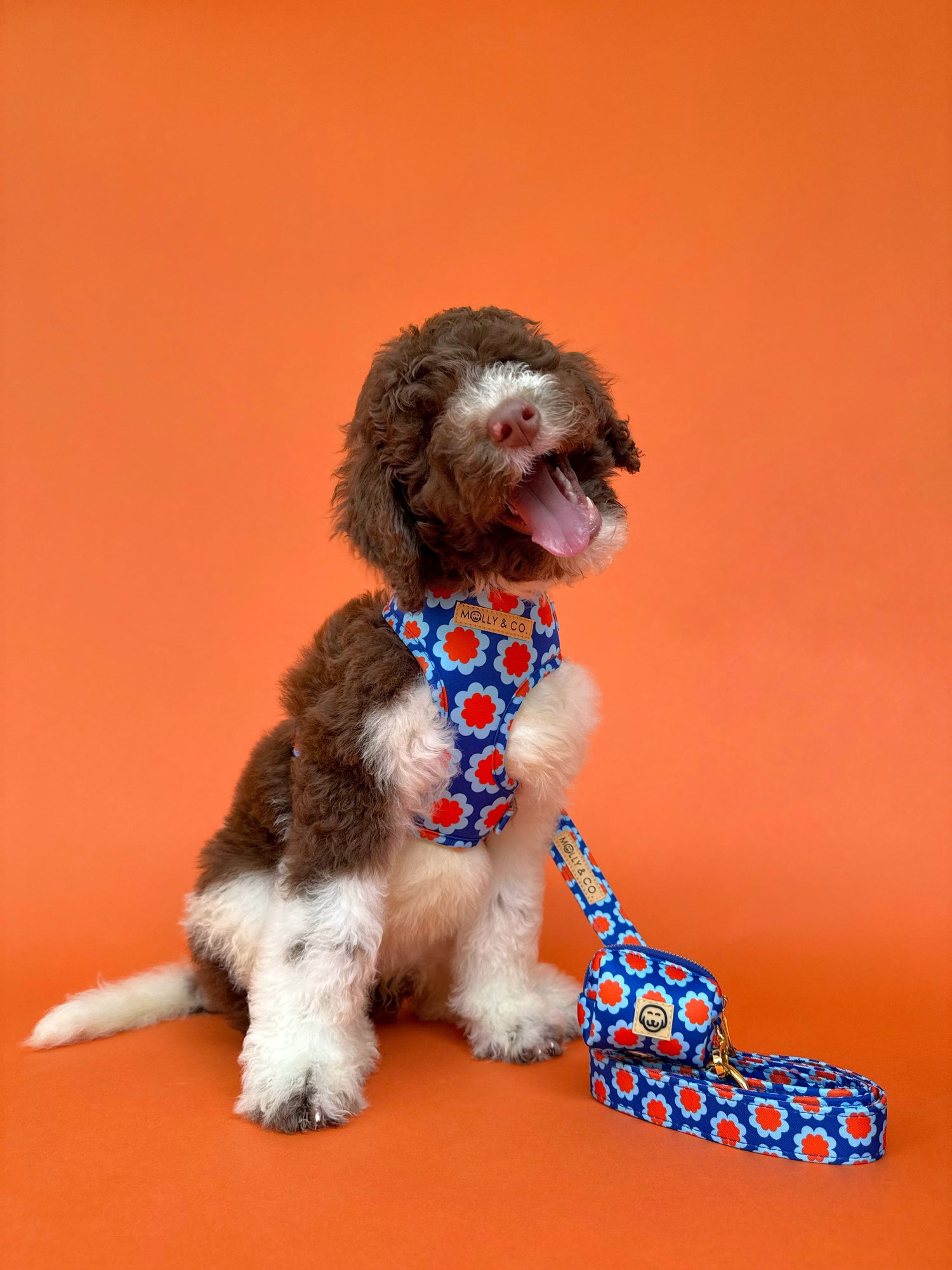 Sorrento - Dog Leash