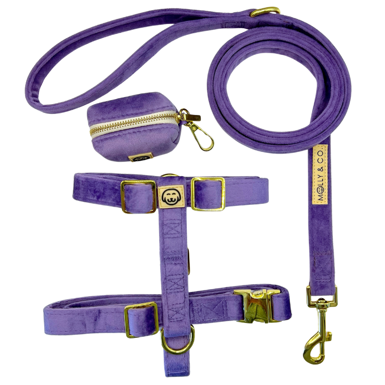 Violet Velvet - Walking Bundle