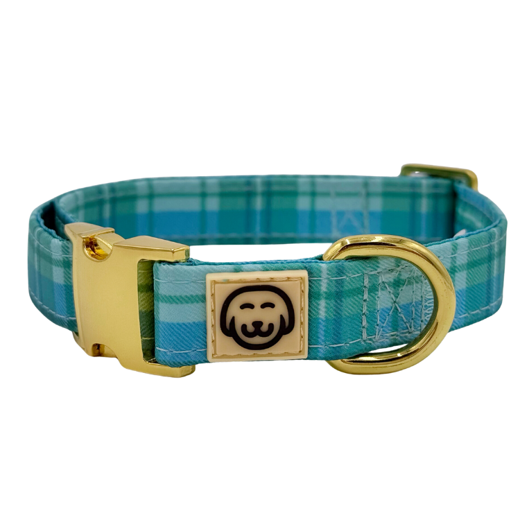 Northern Lights Plaid - Dog Collar