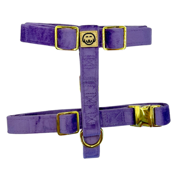 Violet Velvet - Adjustable Strap Dog Harness