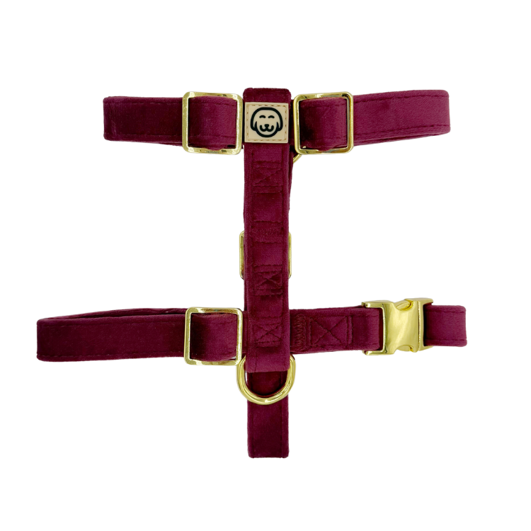 Merlot Velvet - Adjustable Strap Dog Harness