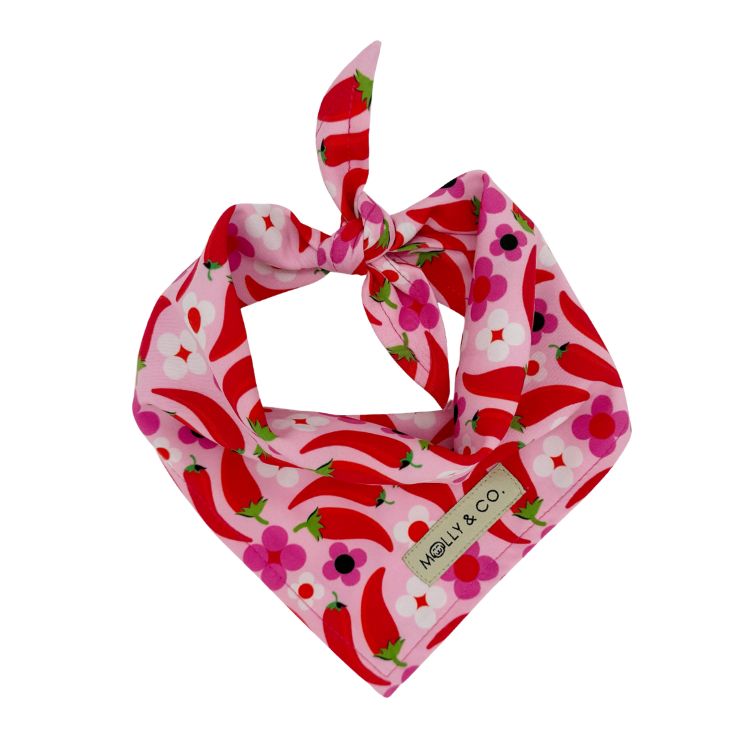 Spicy - Dog Bandana