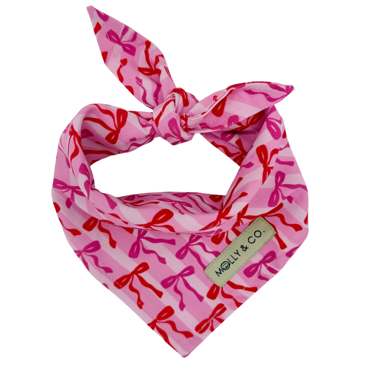 Coquette - Dog Bandana