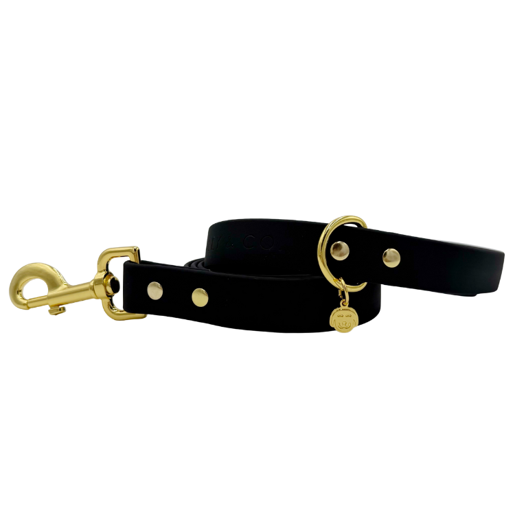 Midnight - Splashproof Dog Leash