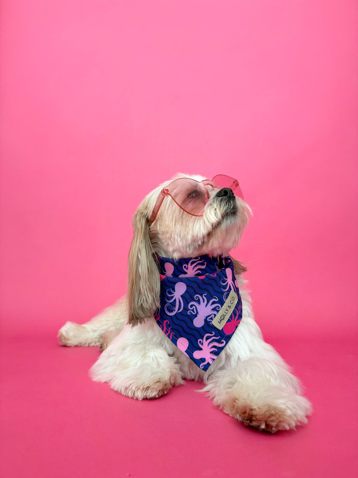 Under the Sea - Dog Bandana