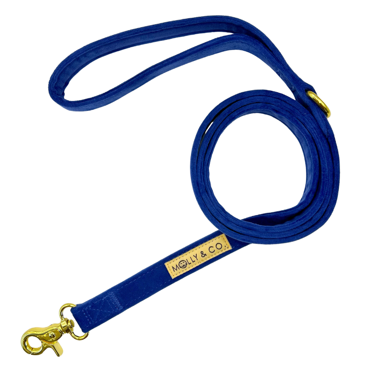 Royal Velvet - Dog Leash
