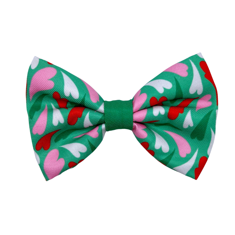 Amore - Dog Bowtie