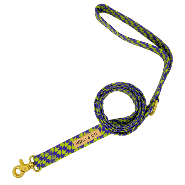 Fetch Master - Dog Leash