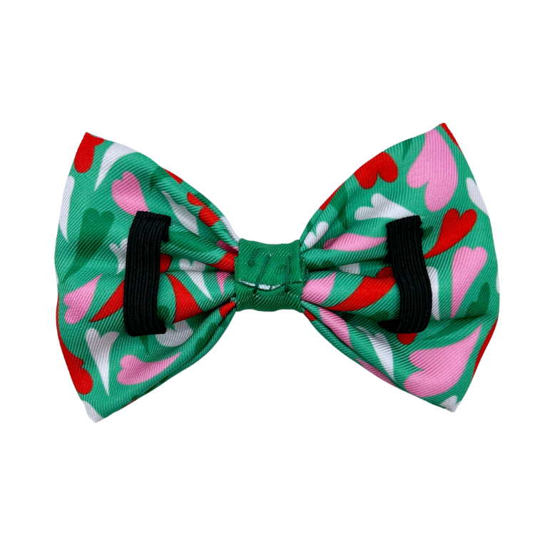 Amore - Dog Bowtie