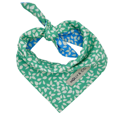 Seafoam - Reversible Dog Bandana