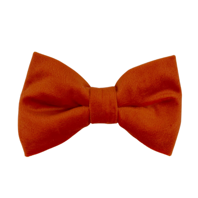 Tangerine Velvet - Dog Bowtie