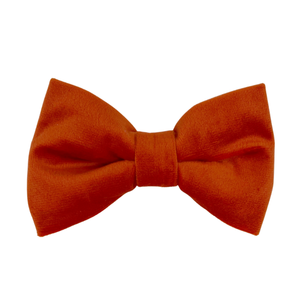 Tangerine Velvet - Dog Bowtie