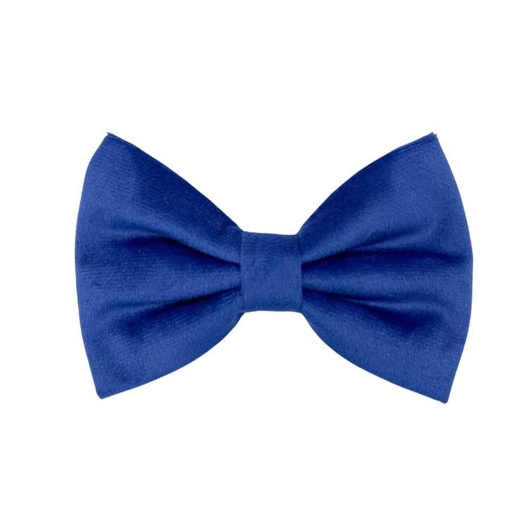 Royal Velvet - Dog Bowtie