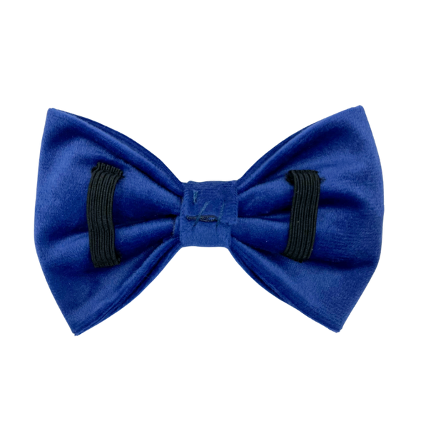 Royal Velvet - Dog Bowtie