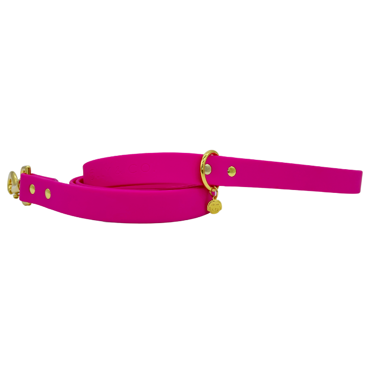 Bubblegum - Splashproof Dog Leash