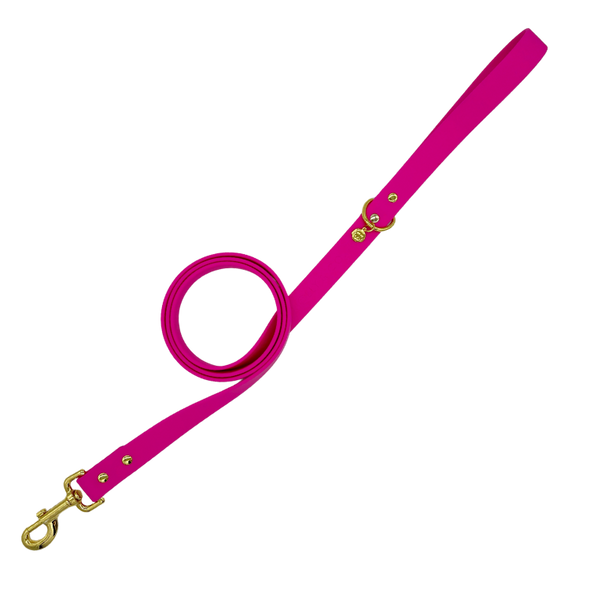 Bubblegum - Splashproof Dog Leash