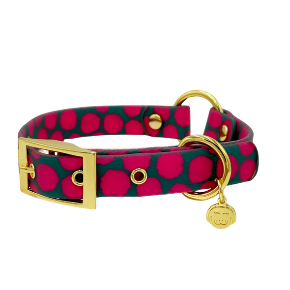 Polka Dogz - Splashproof Dog Collar