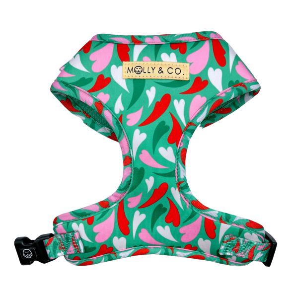 Amore - Adjustable Dog Harness