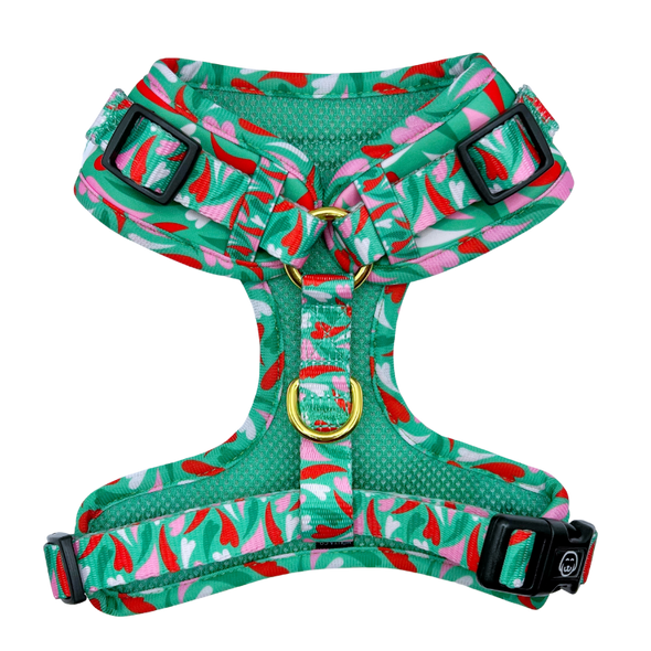 Amore - Adjustable Dog Harness