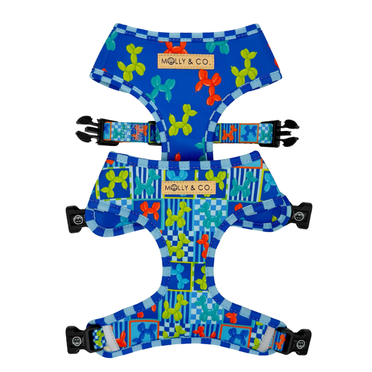 Neon Pop - Reversible Dog Harness