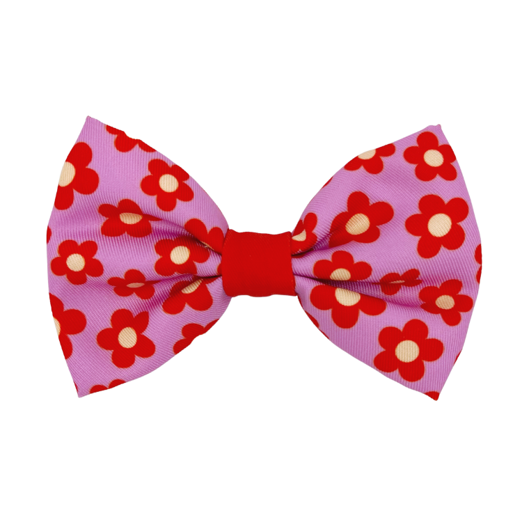 Wildflower - Dog Bowtie