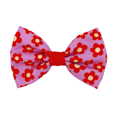 Wildflower - Dog Bowtie