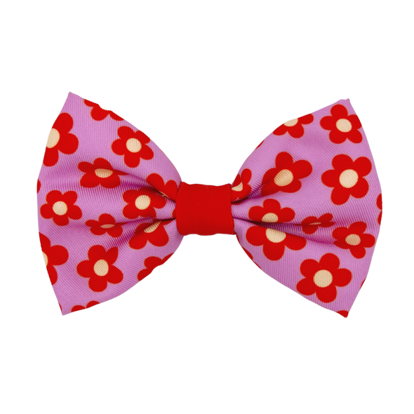 Wildflower - Dog Bowtie